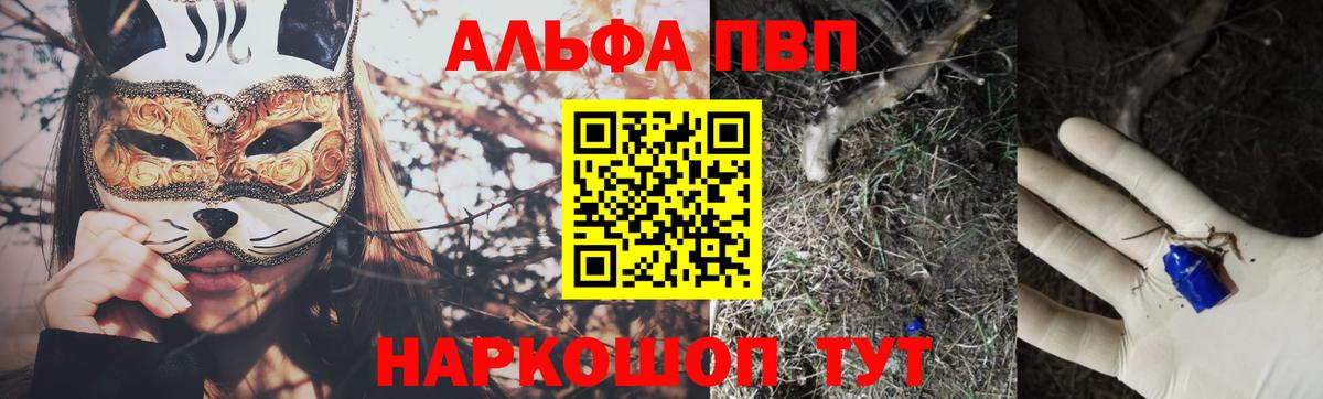 A PVP СК КРИС Гусев