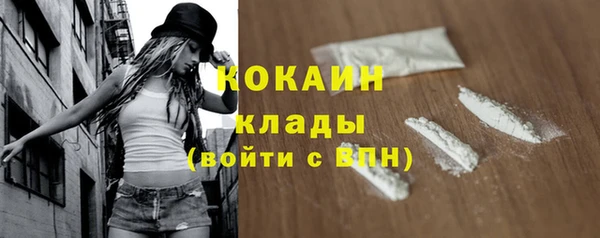 шишки Балабаново