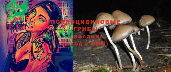 каннабис Белокуриха