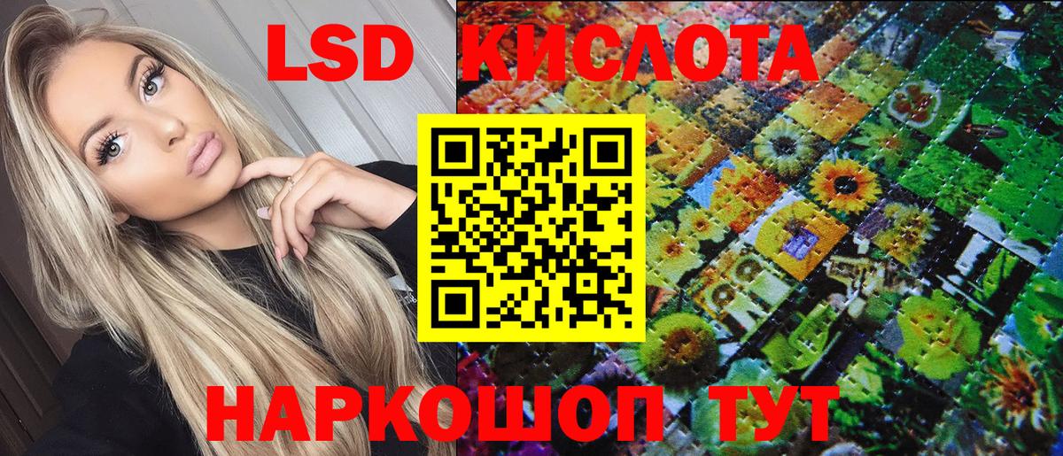 Наркотические марки  Марки 25I-NBOMe 1500мкг  Гусев  где купить наркотик  Марки 25I-NBOMe 1500мкг 