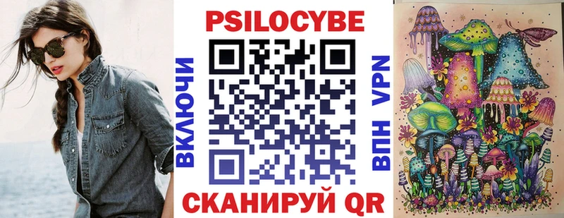 где купить наркотик  Гусев  Галлюциногенные грибы MAGIC MUSHROOMS 