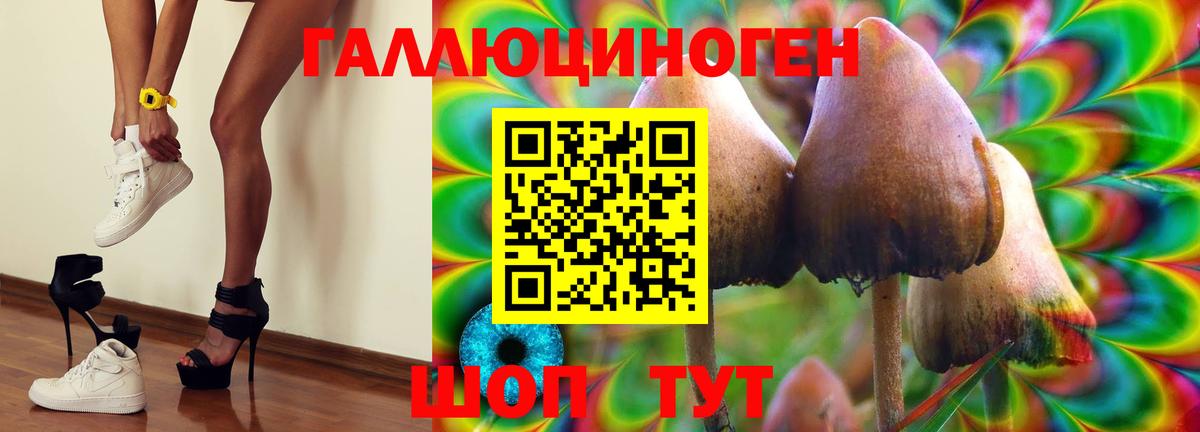 Гусев  Псилоцибиновые грибы мухоморы  Вход с VPN  Галлюциногенные грибы Psilocybe 